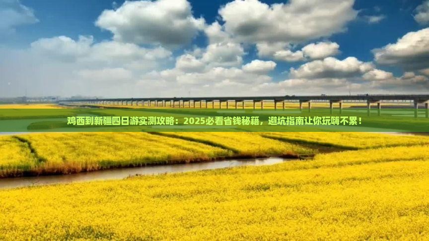 鸡西到新疆四日游