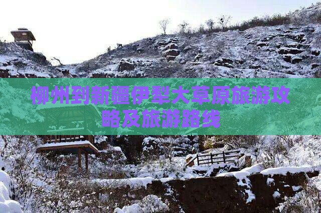 柳州到新疆伊犁大草原旅游