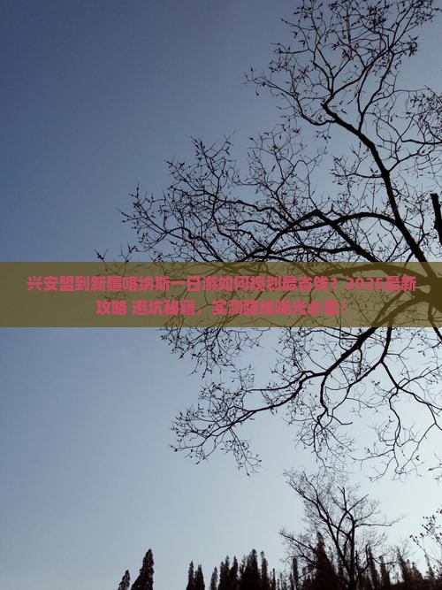 兴安盟到新疆喀纳斯一日