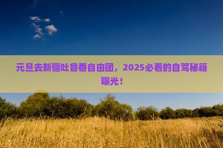 元旦去新疆吐鲁番自由团