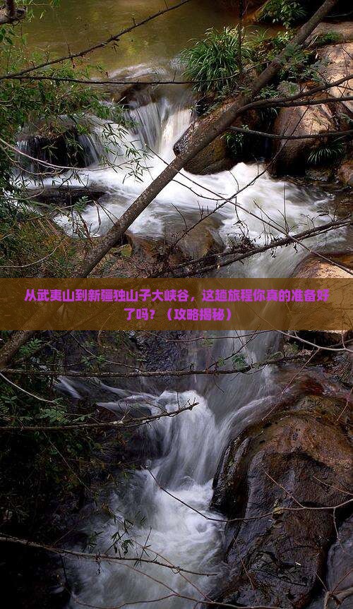 武夷山去新疆独山子大峡谷旅行社