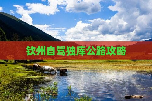 钦州去新疆独库公路攻略
