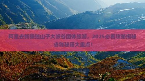 阿里去新疆独山子大峡谷团体旅游
