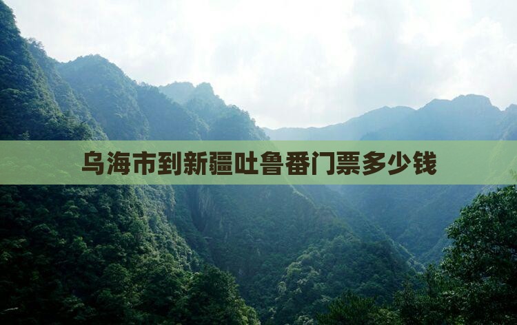 乌海市到新疆吐鲁番门票
