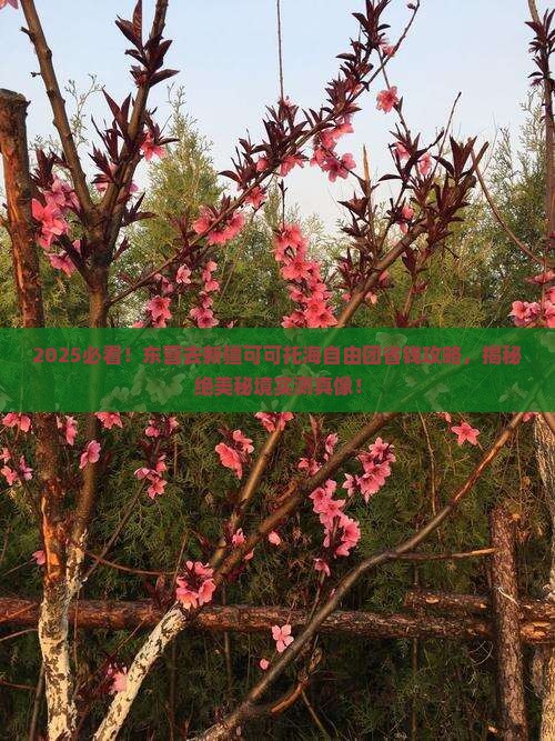 东营去新疆可可托海自由团