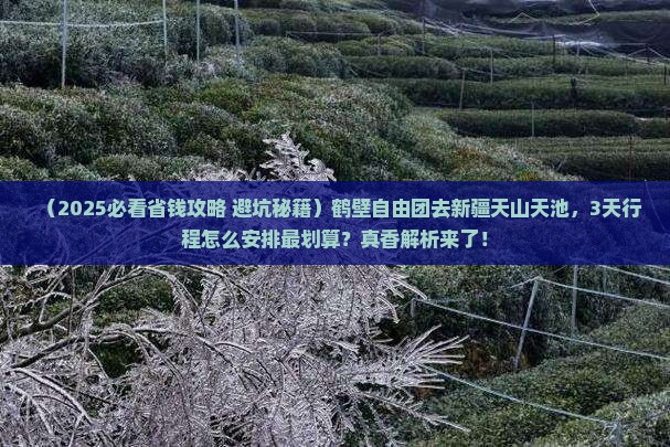 鹤壁去新疆天山天池自由团