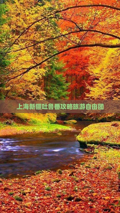 上海去新疆吐鲁番自由团