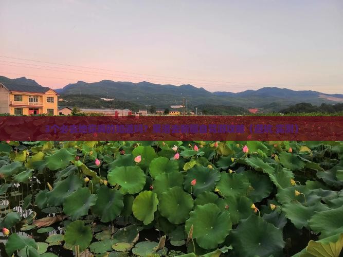 果洛去新疆必去地