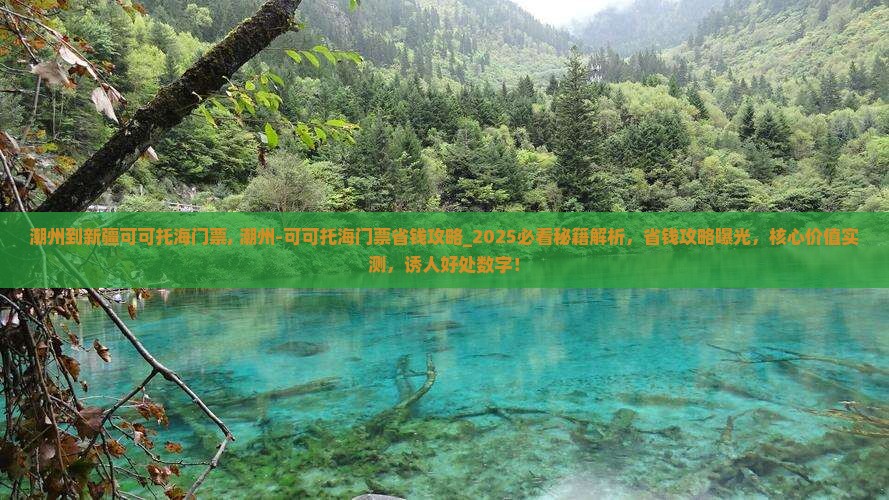 潮州到新疆可可托海门票