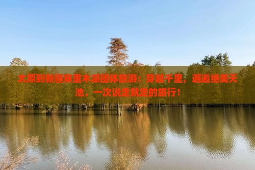 太原到新疆赛里木湖团体旅游