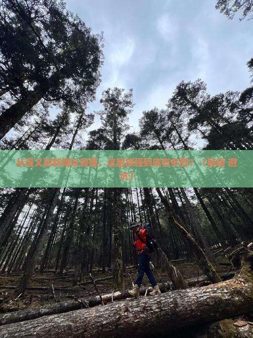 遵义到新疆吐鲁番旅游
