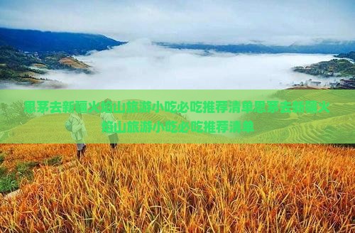 思茅去新疆火焰山旅游小吃