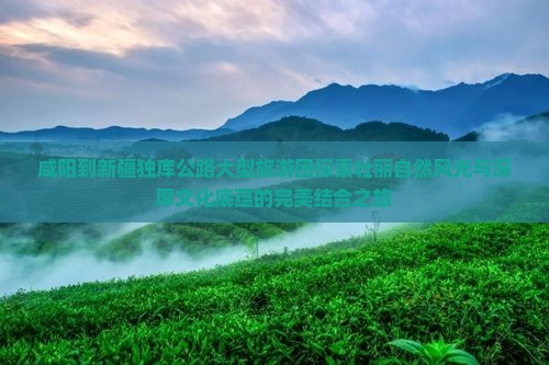 咸阳到新疆独库公路大型旅游团