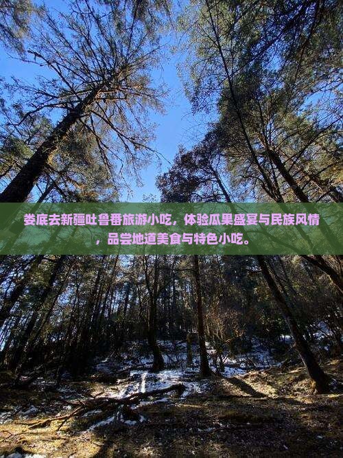 娄底去新疆吐鲁番旅游小吃