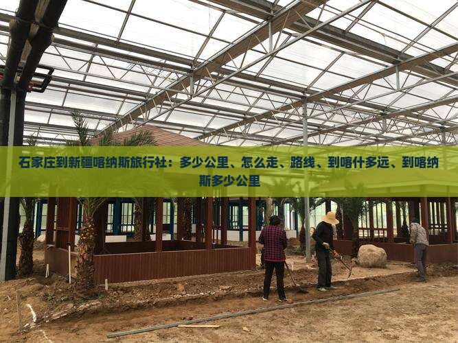 石家庄到新疆喀纳斯旅行社
