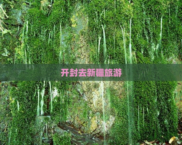开封去新疆旅游