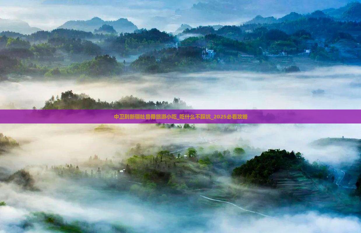 中卫到新疆吐鲁番旅游小吃