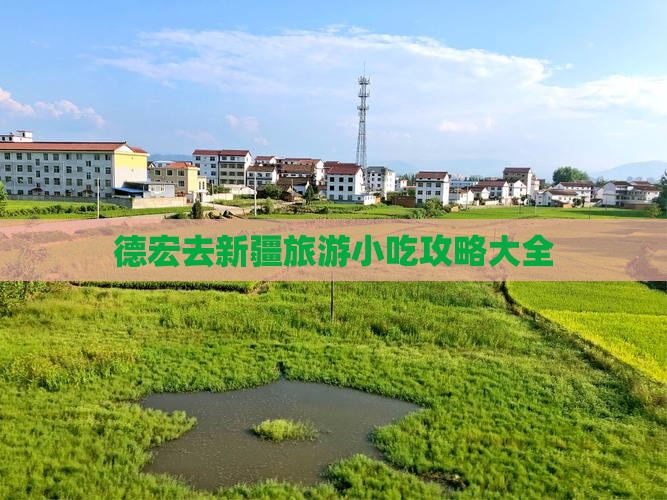 德宏去新疆旅游小吃