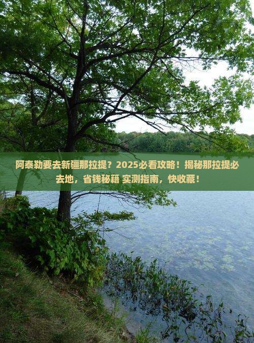 阿泰勒到新疆那拉提必去地