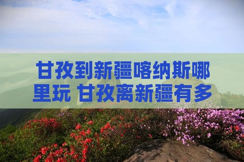 甘孜到新疆喀纳斯哪里玩