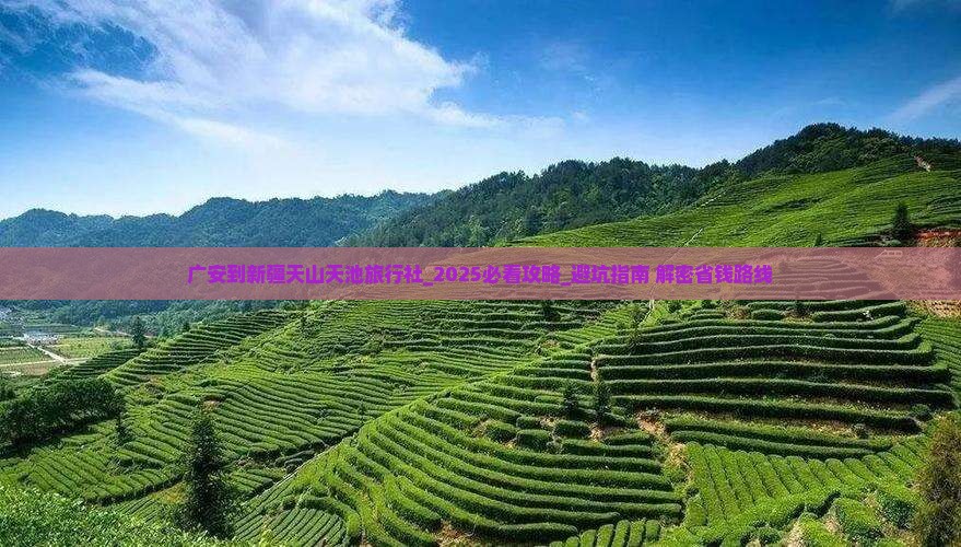 广安到新疆天山天池旅行社