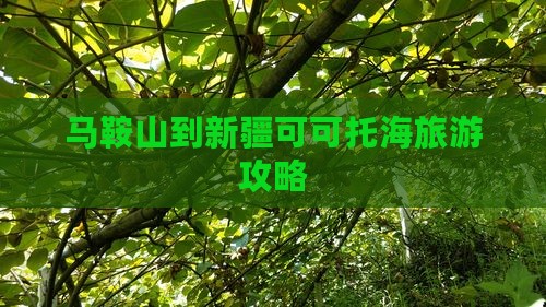 马鞍山到新疆可可托海攻略