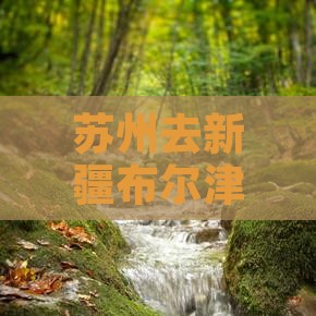 苏州去新疆布尔津哪里玩