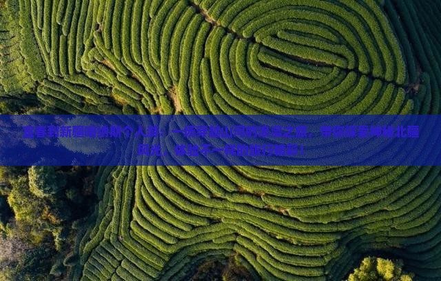 宜春到新疆喀纳斯个人游