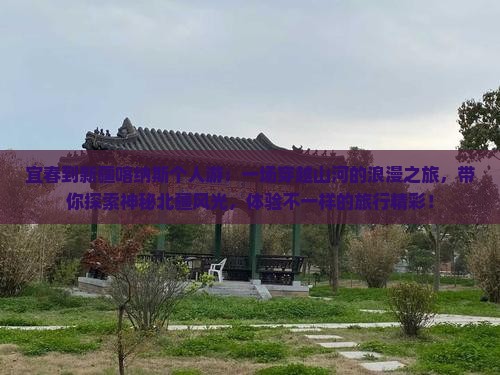 宜春到新疆喀纳斯个人游