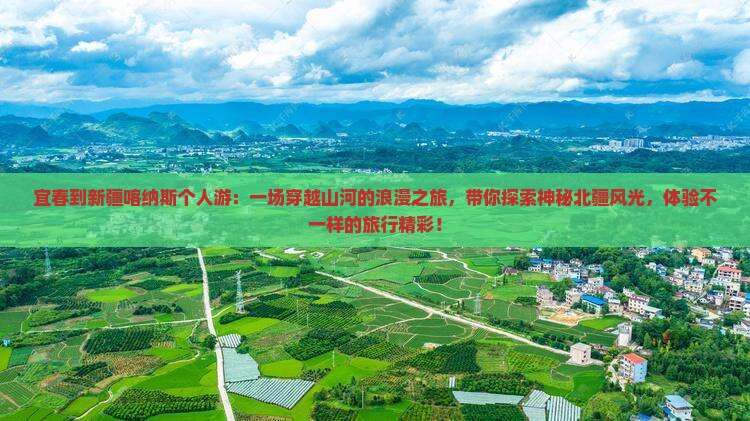 宜春到新疆喀纳斯个人游
