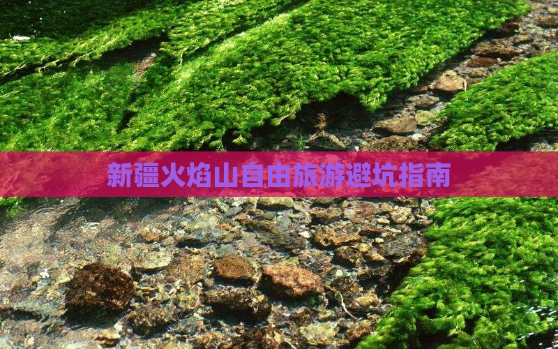 春天到新疆火焰山自由团