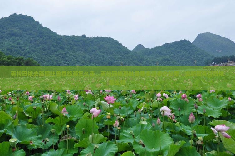 克拉玛依去新疆吐鲁番旅游