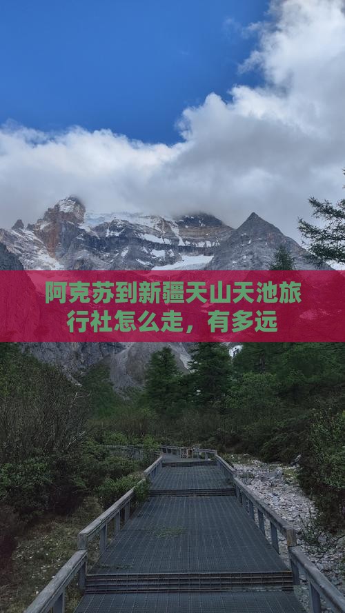 阿克苏到新疆天山天池旅行社