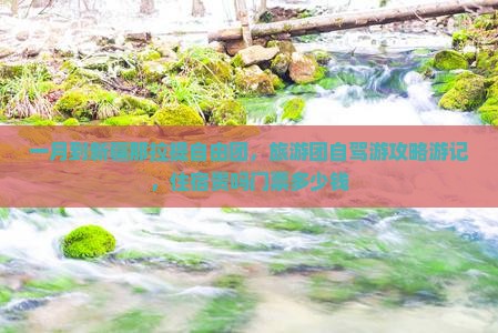 一月到新疆那拉提自由团