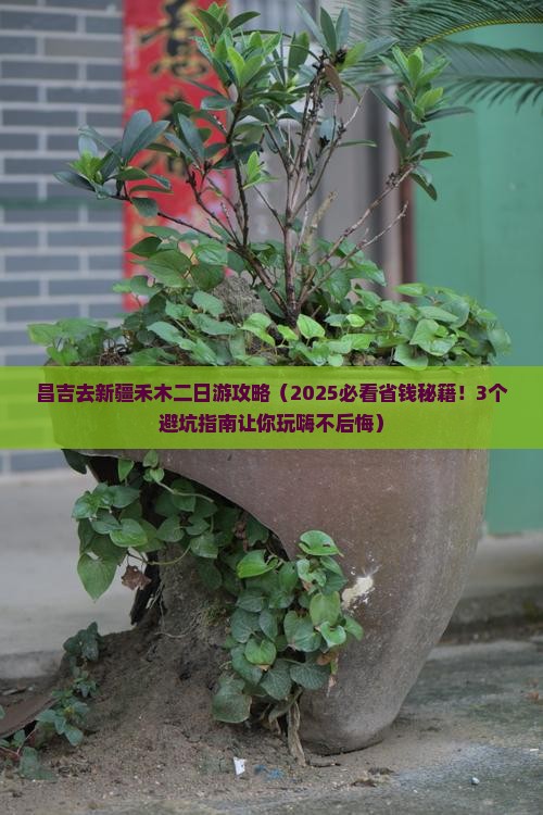 昌吉去新疆禾木二日游