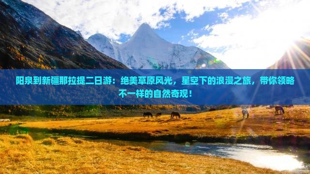 阳泉到新疆那拉提二日游