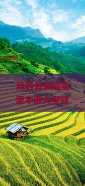 黄石去新疆赛里木湖大型旅游团