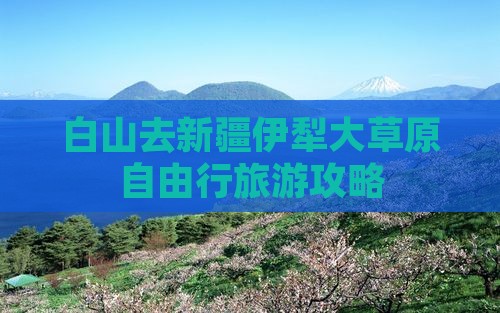 白山去新疆伊犁大草原自由行