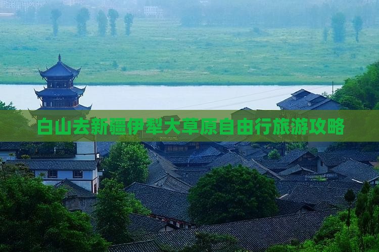 白山去新疆伊犁大草原自由行