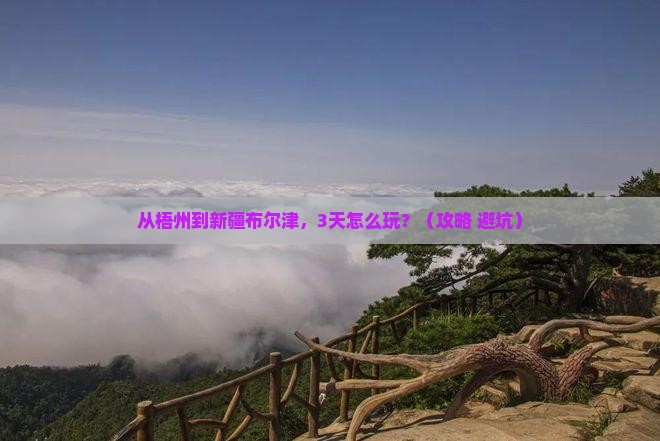 梧州去新疆布尔津自由团 梧州去新疆布尔津自由团