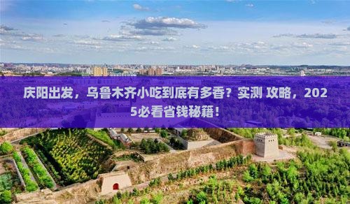 庆阳去新疆乌鲁木齐旅游小吃