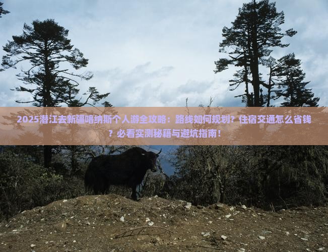 潜江去新疆喀纳斯个人游