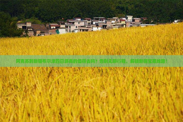阿克苏到新疆布尔津四日游
