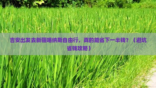 吉安去新疆喀纳斯自由行