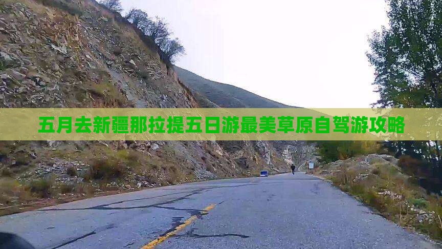 五月去新疆那拉提五日游