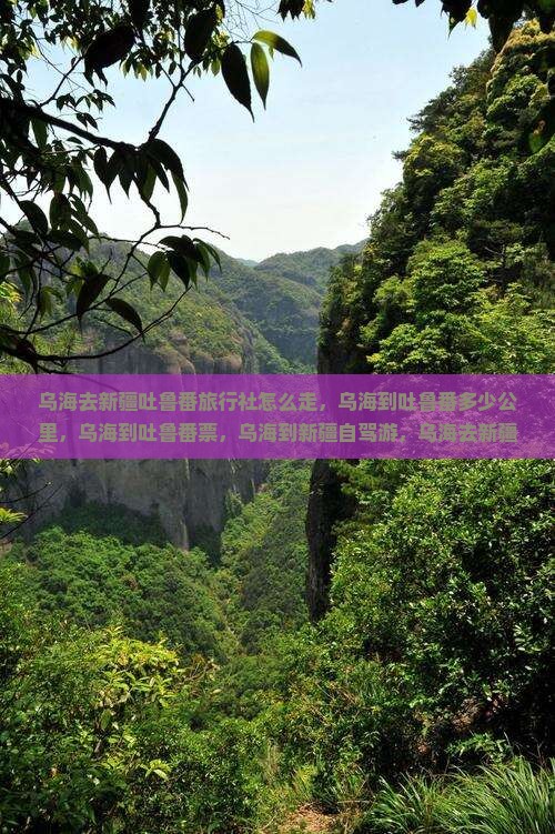 乌海去新疆吐鲁番旅行社