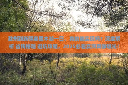 滁州到新疆赛里木湖一日