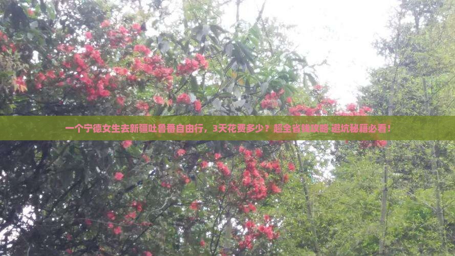 宁德去新疆吐鲁番自由行