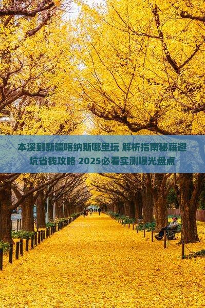 本溪到新疆喀纳斯哪里玩