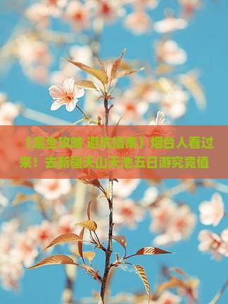 烟台去新疆天山天池五日游